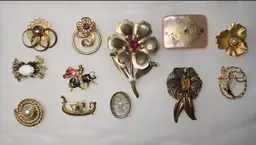 12 Old Estate Vintage Costume Jewelry Brooch Lot RARE Mother of Pearl Unbranded