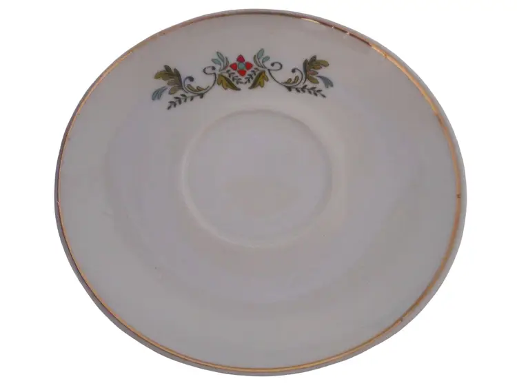 Sundial by Pozzani Coffee Tea Espresso Cup and Saucer Ceramic Made in Brazil