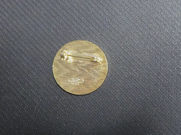 Go For It Ski Pin Auburn Badge And Emblem NY State