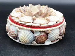 1203-Vintage Seashell, Felt Lined Trinket Box