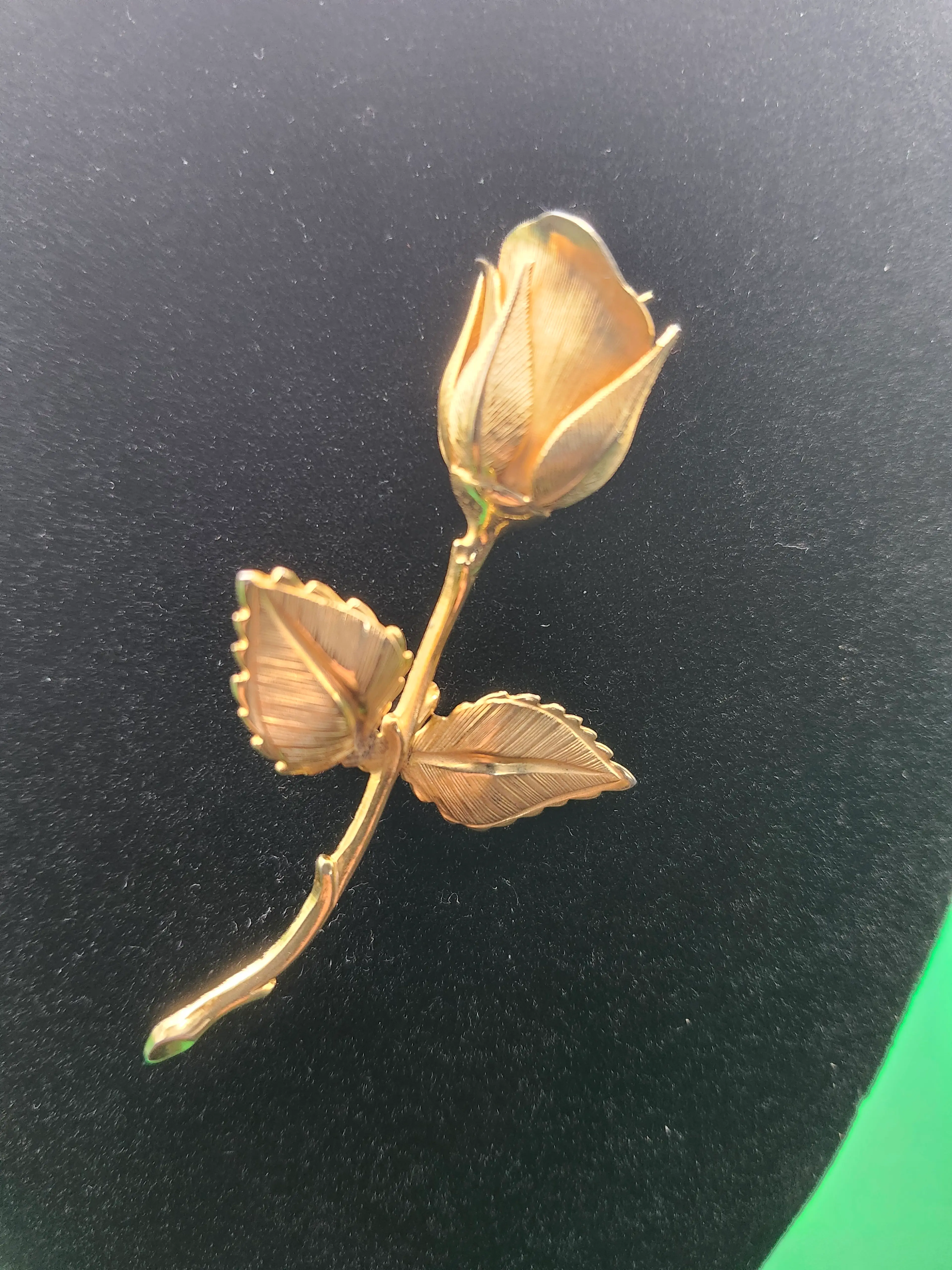 Image 3 of 18