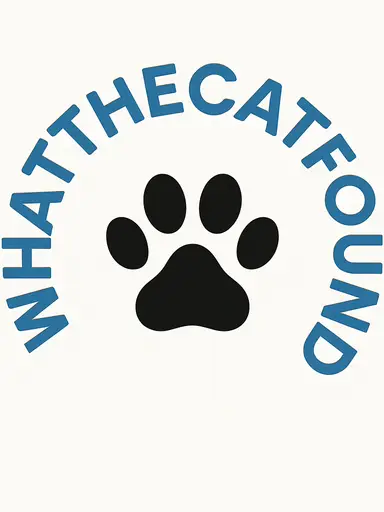 Pop up stocking new shelves come and chill 