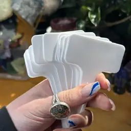 Plastic Plant Tags 65pk