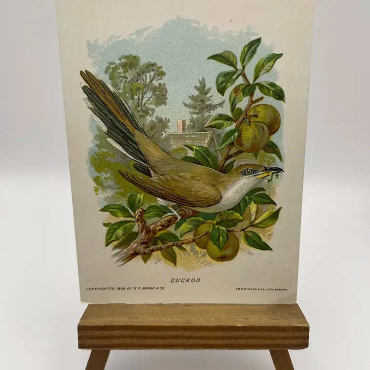 Antique Trade Card, Good-Will Soap/New England’s Finest, “Cuckoo”, Copyrighted 1888 By Geo. E. Marsh & Co., Card by Armstrong & Co. Lith. Boston