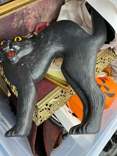 Goodwill Bins Haul!!