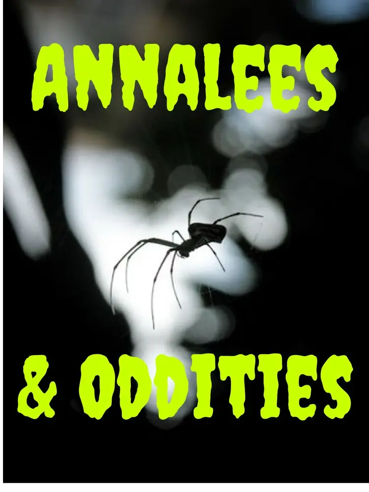 Halloween Live Sale w/ReloveGarage