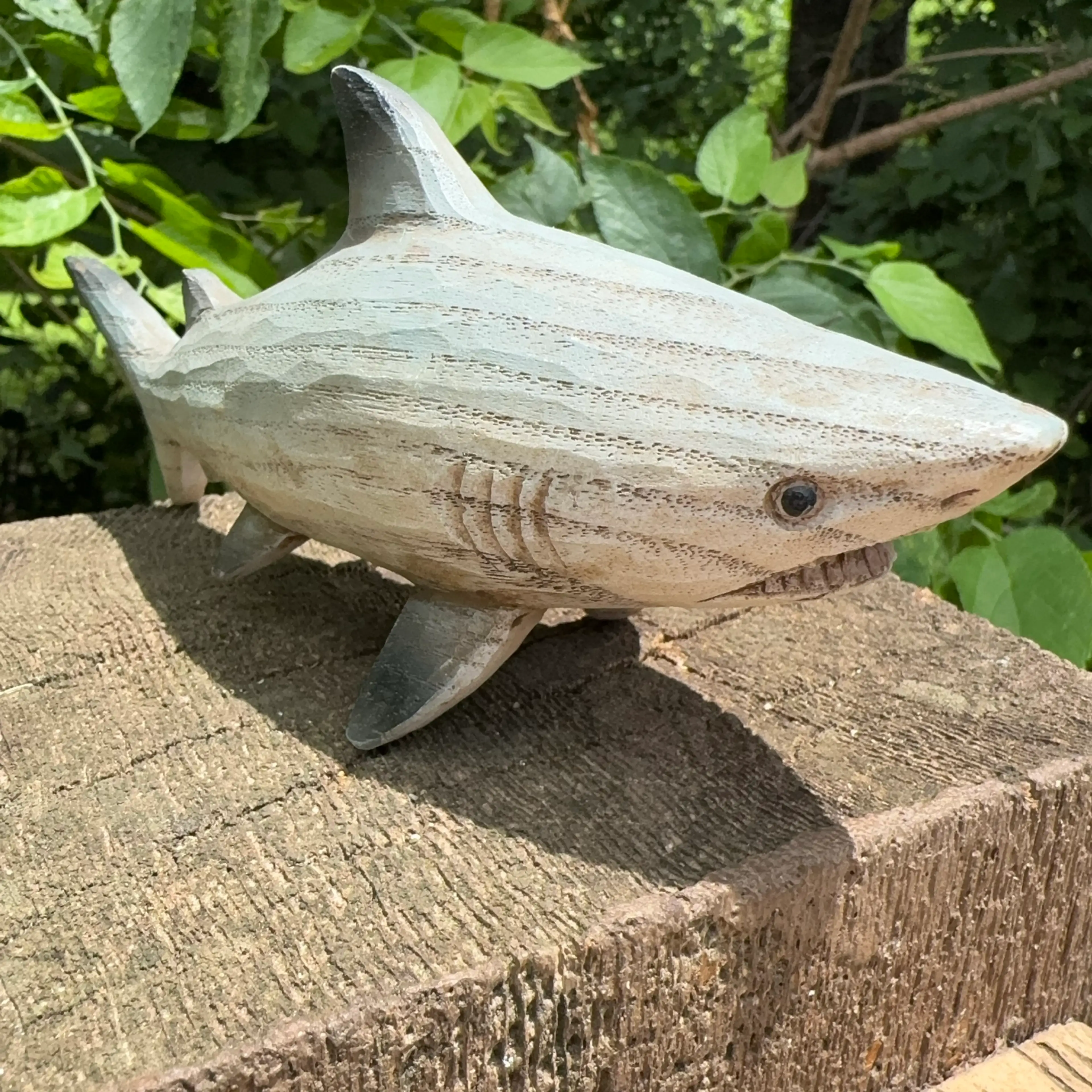 Image 2 of 5