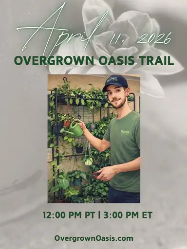 April Trail! 🌈🌸