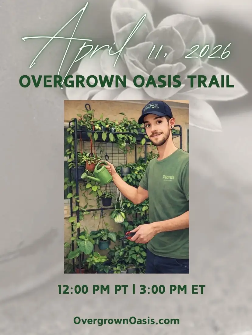 Livestream thumbnail