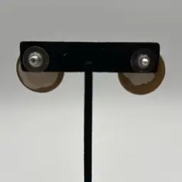 Clay Crackle Earring Earth Tone Circles