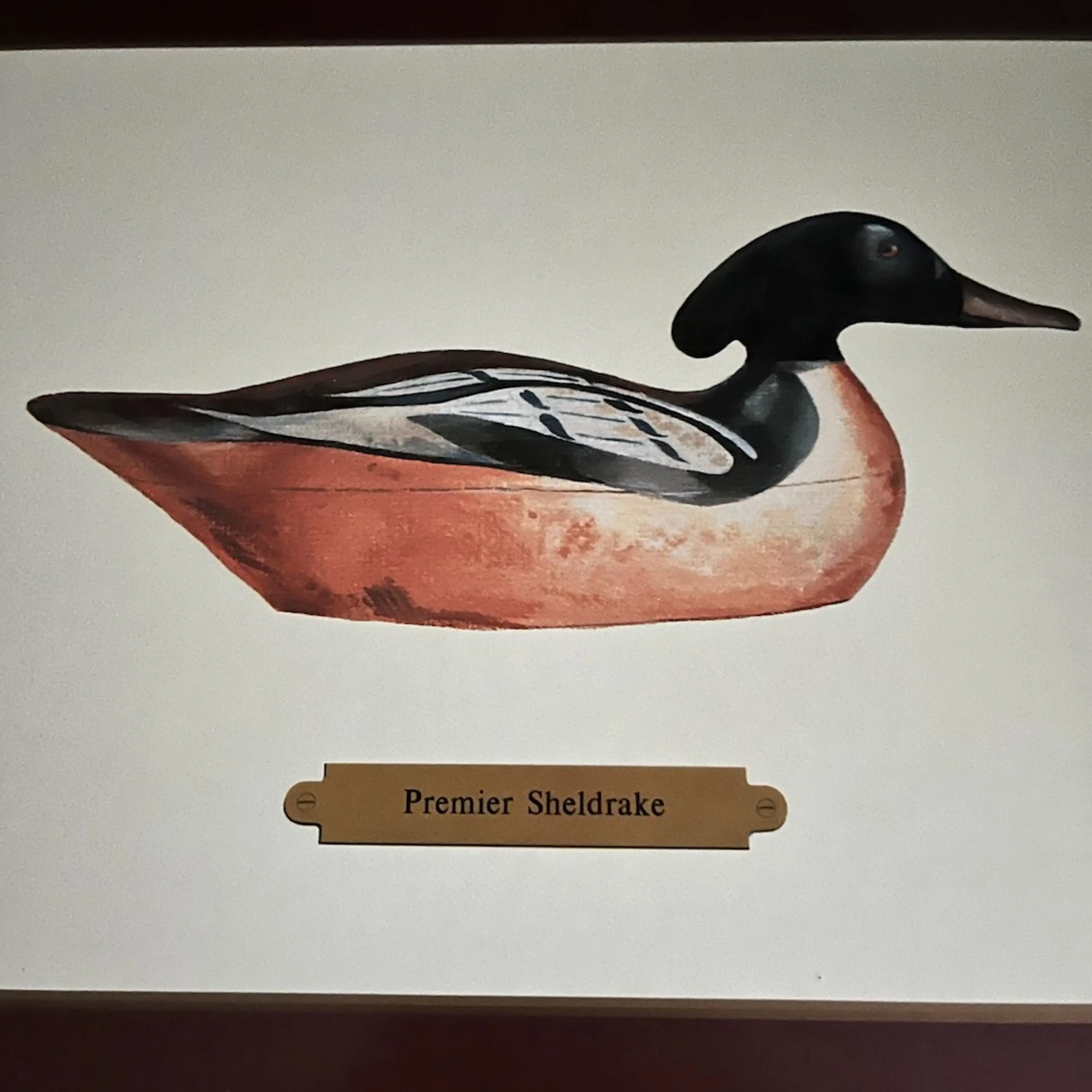 Image 2 of 9