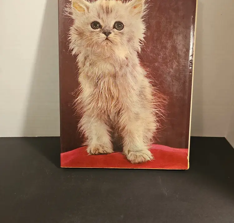 The World Of Cats Hardcover Book, John Montgomery, First Edition 1967
