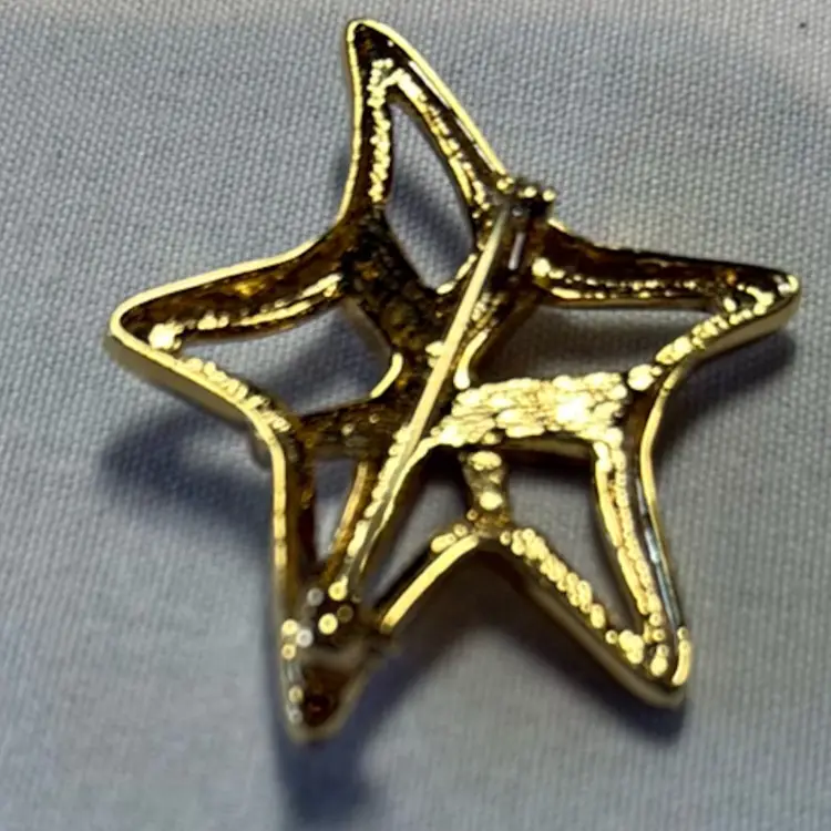 Star Brooch