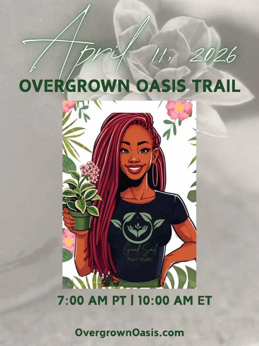 Livestream thumbnail