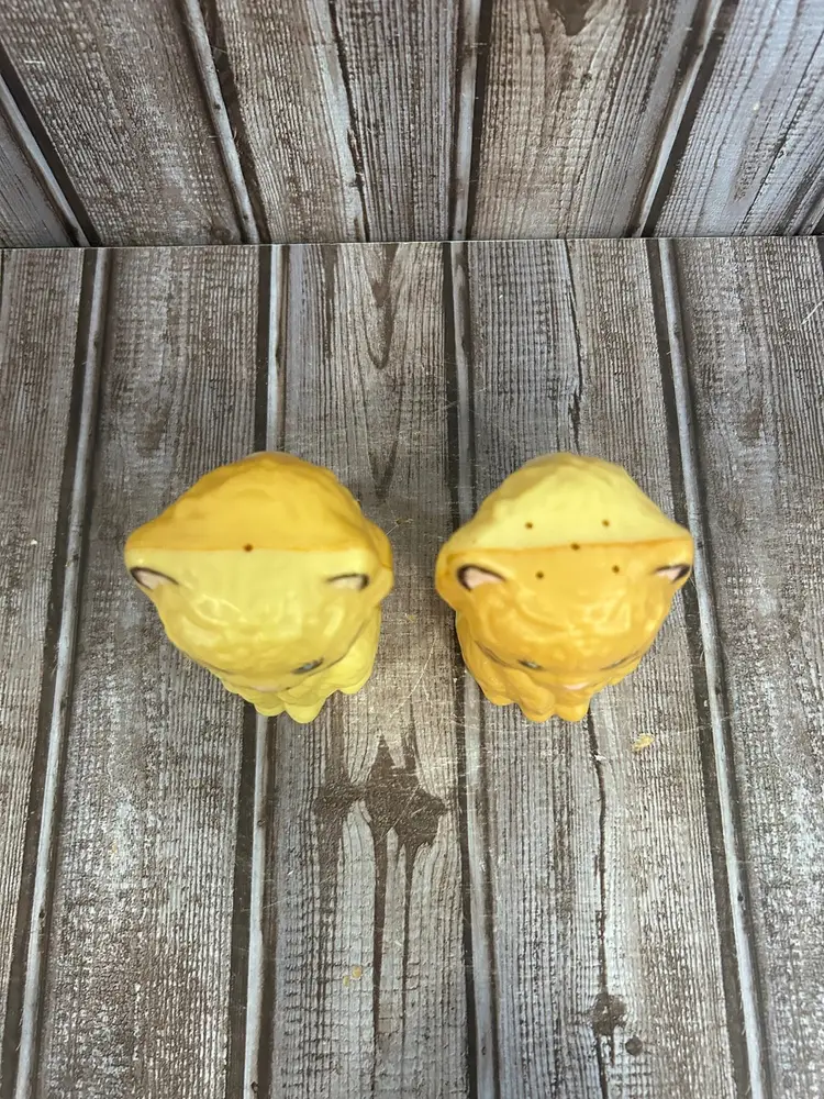 1950's Celluloid Cat Kitty Salt and pepper Shakers With Squeaks! Vintage