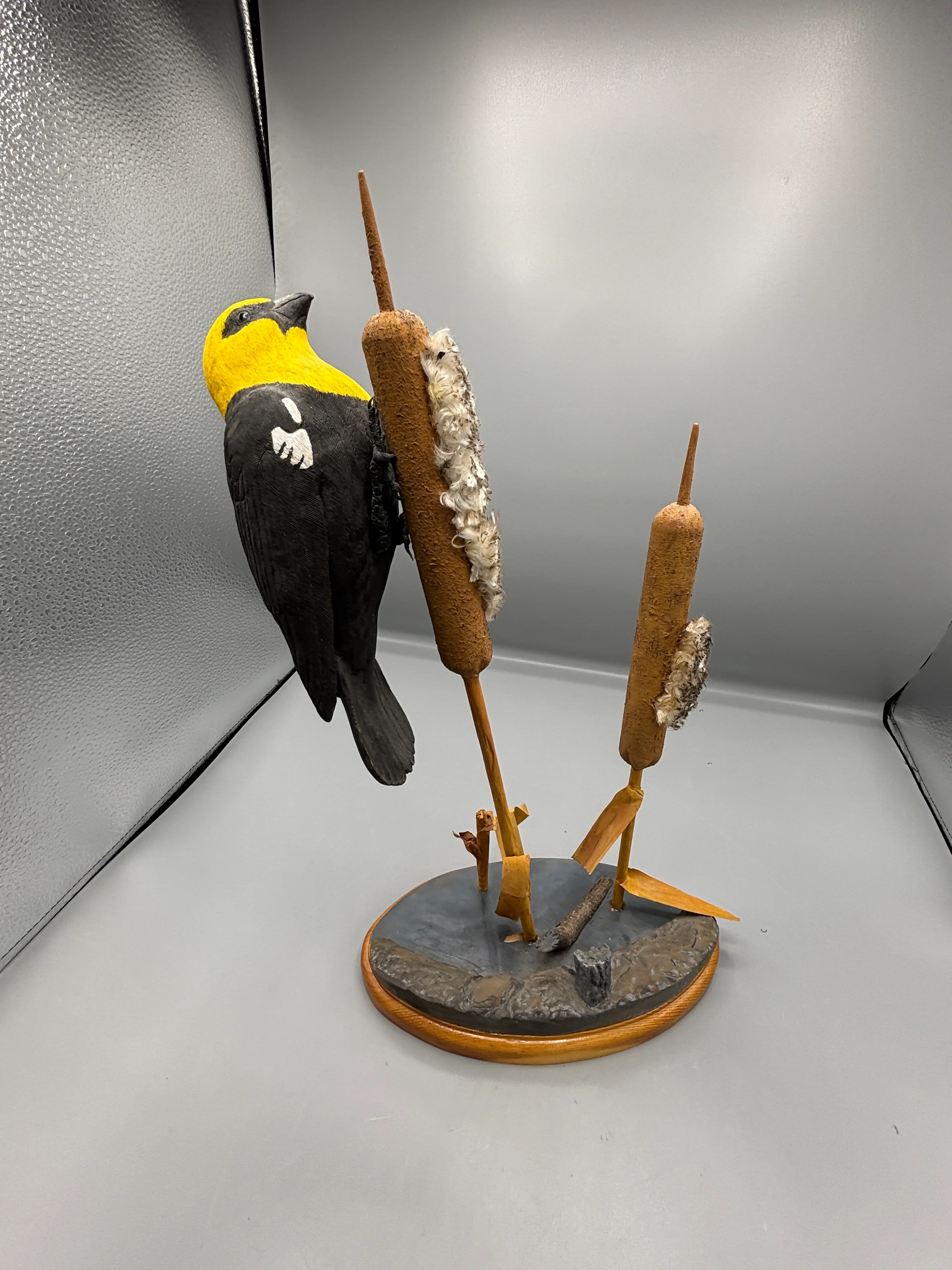Image 4 of 6