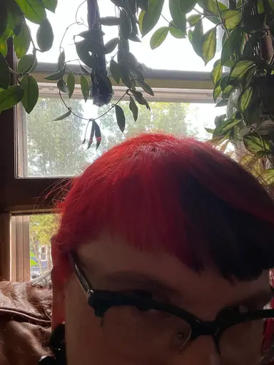 Planty Craft Hang Out 