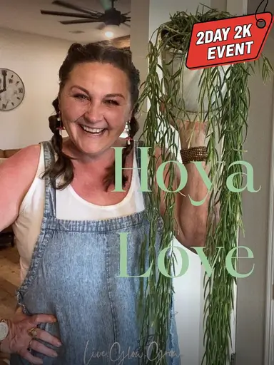 Hoyas - Pest Prevention & Winter Prep!