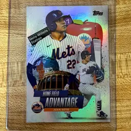 Home Field Advantage Soto - New York Mets