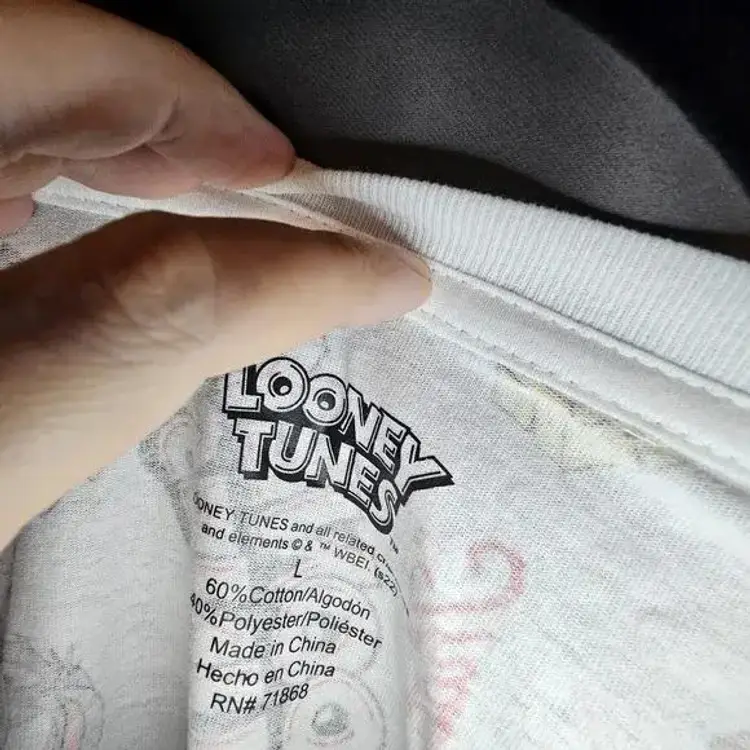 Looney Tunes Tshirt with Taz Bugs Bunny Wiley Coyote NWOT