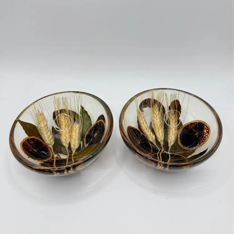 Set Of 2- Riccardo Marzi Lucite 5" Decor Bowl Dried Orange Slices Wheat Firenzie Made in Italy