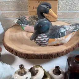 #02 - Pick A Decoy Duck