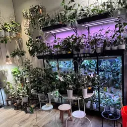 Christen’s choice cuttings box