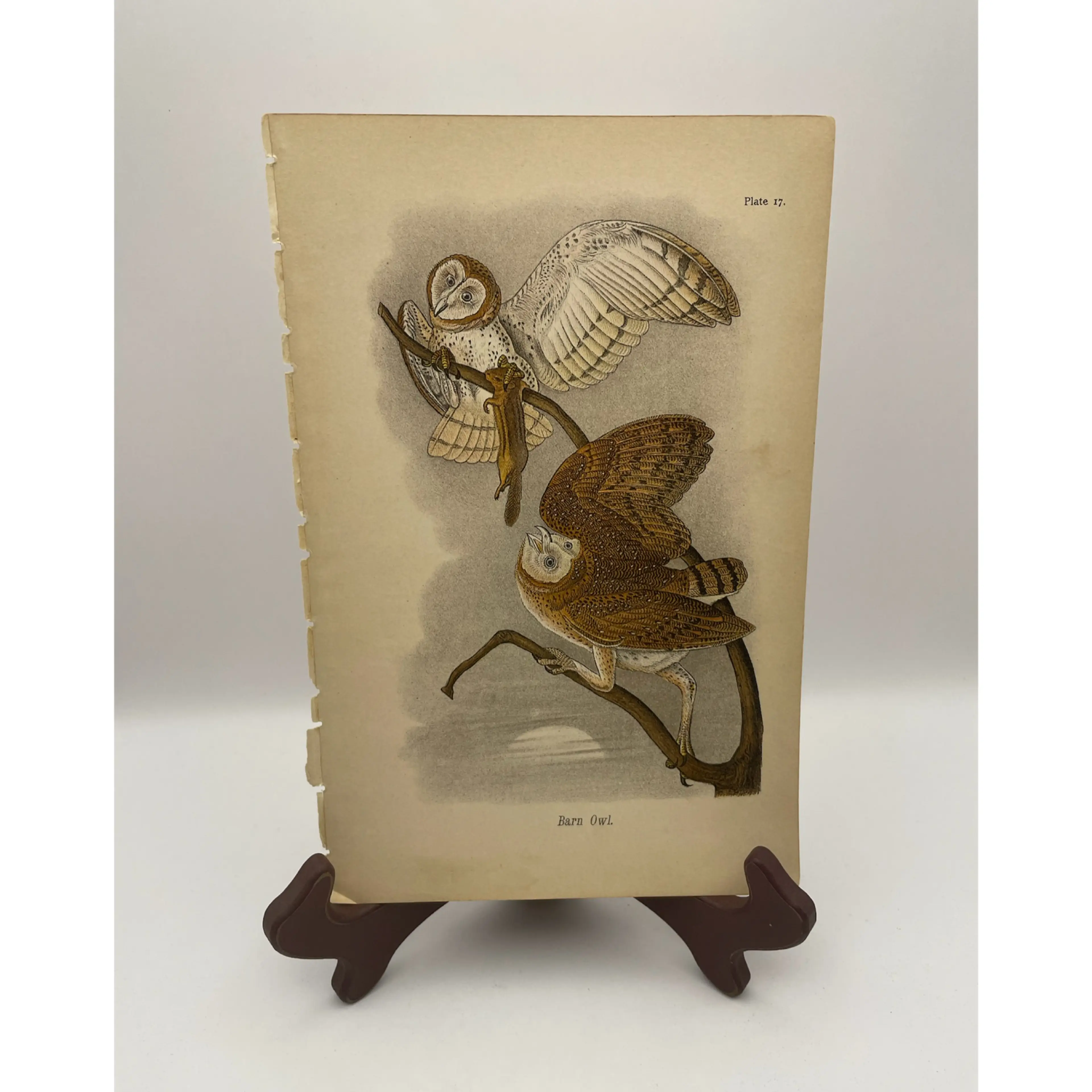 Image 1 of 9