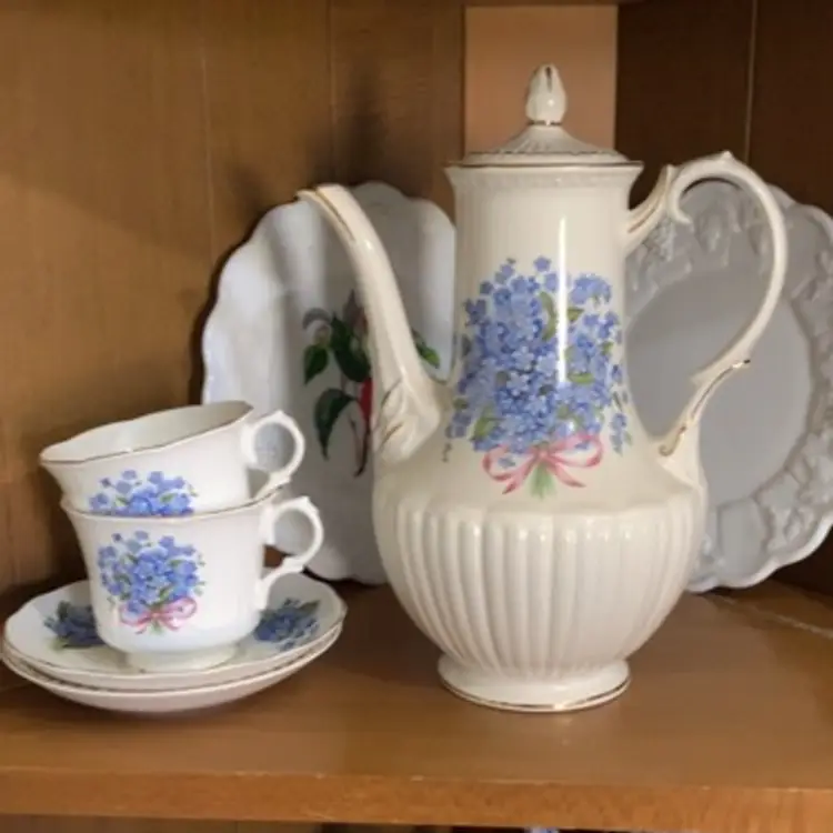 Crown Dorsey Porcelain Forget-me-not Teapot Set