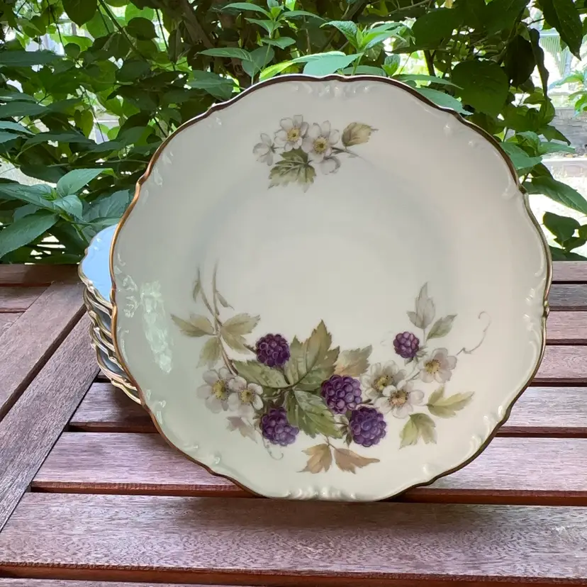 🔔 Vintage Tirschenreuth Bavaria Germany “Fruit”Plates Set of 8 PASCO 3746 8" - Full Set