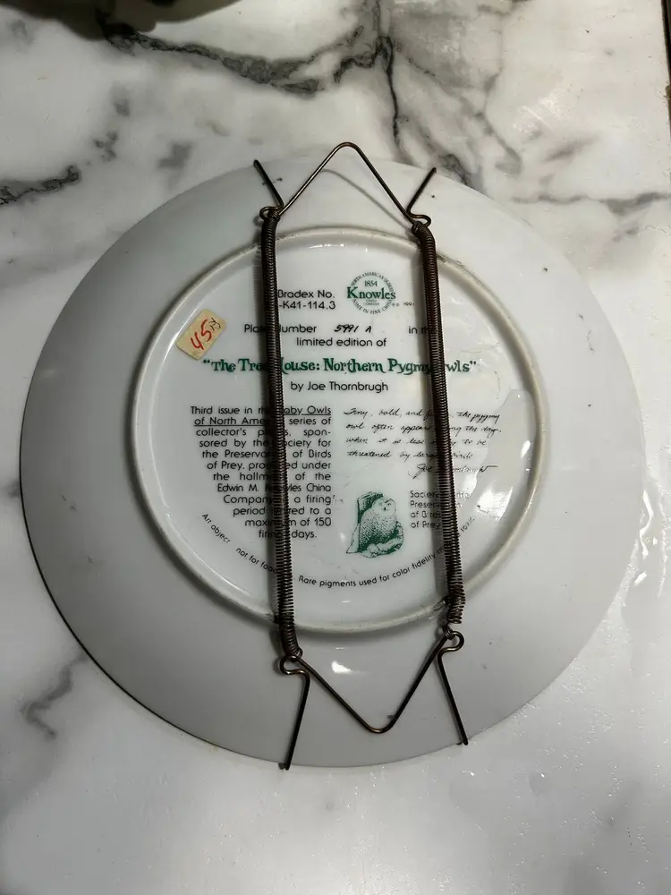 Vintage 1990s Knowles Joe Thronbrugh "The Tree House: Northern Pygmy Owls" Collector Plate