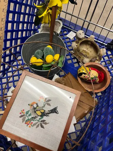 Goodwill Bins Haul Day 8!!