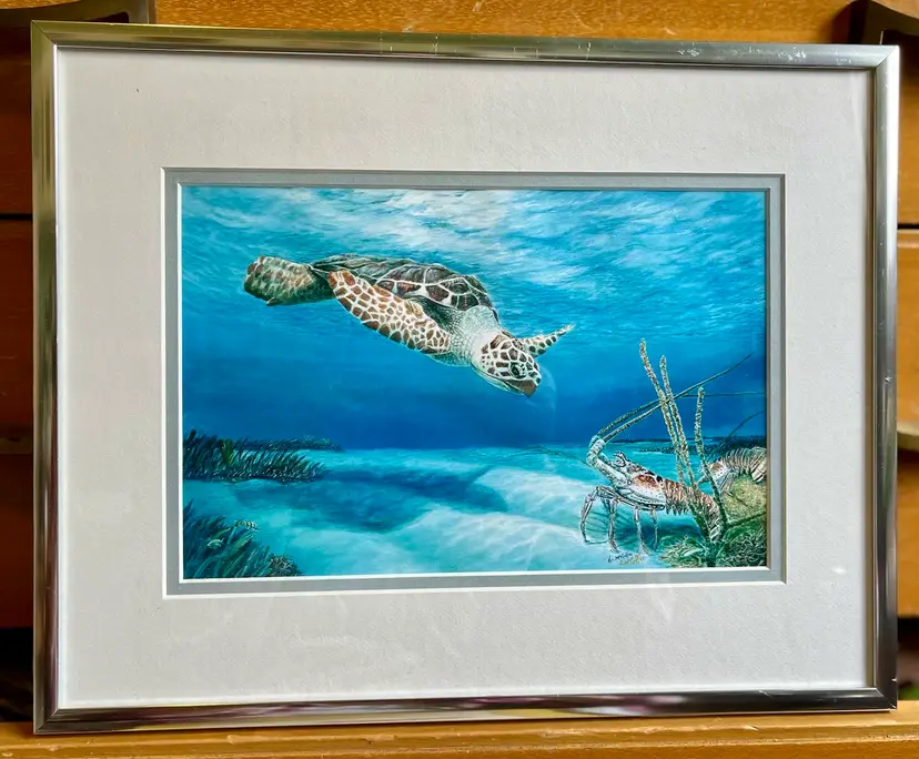 Beautiful Underwater Sea life Watercolor Signed By Artist Kim McGuffey
