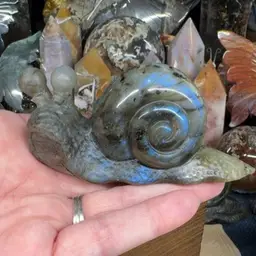 Labradorite Snail 115H