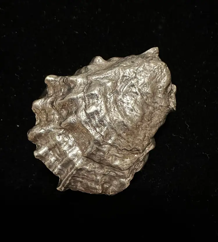 James Breakell Sterling Silver Belt Buckle Oyster Shell