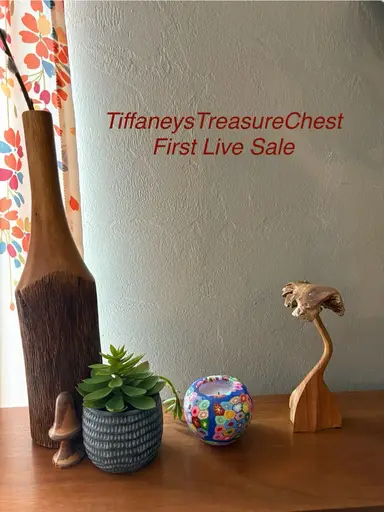 Vintage Fun Finds - First Live Show