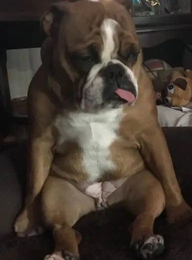 Rosey Invites You To The Sunday Show!!! Come See Our Finds From The Weekend And Our Other Collectibles. You Don’t Want To Miss This Show!