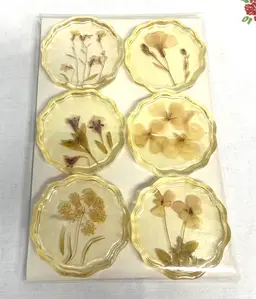 Vintage Lucite Coasters Pressed Flowers Botanical Set of 6 Acrylic Mid Century Modern