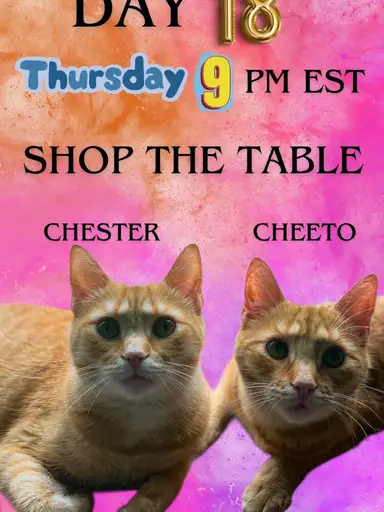 New Shop The Table Items