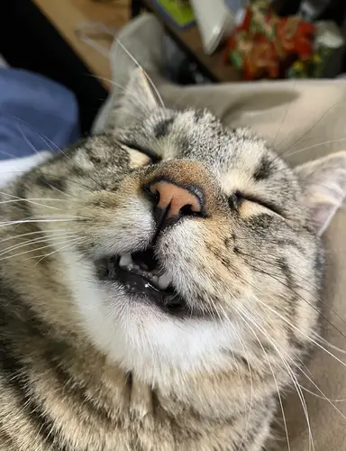 10 at 10:10 (CST😊) Don’t Sleep on These Deals!