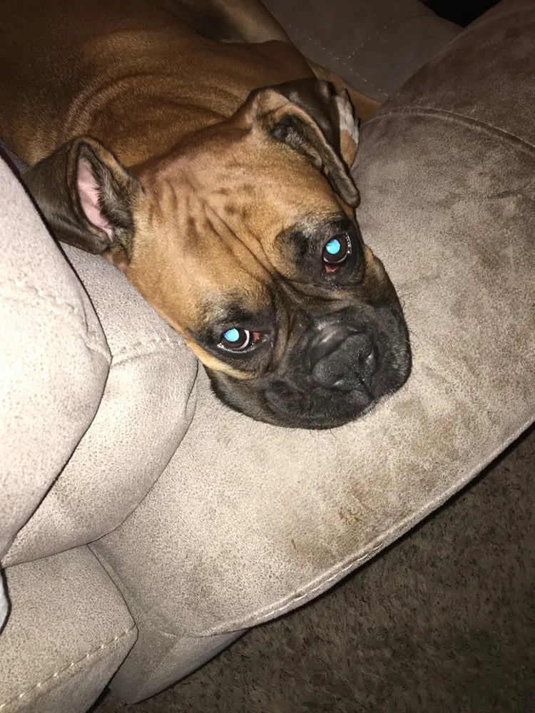 Testing My New Apple Phone