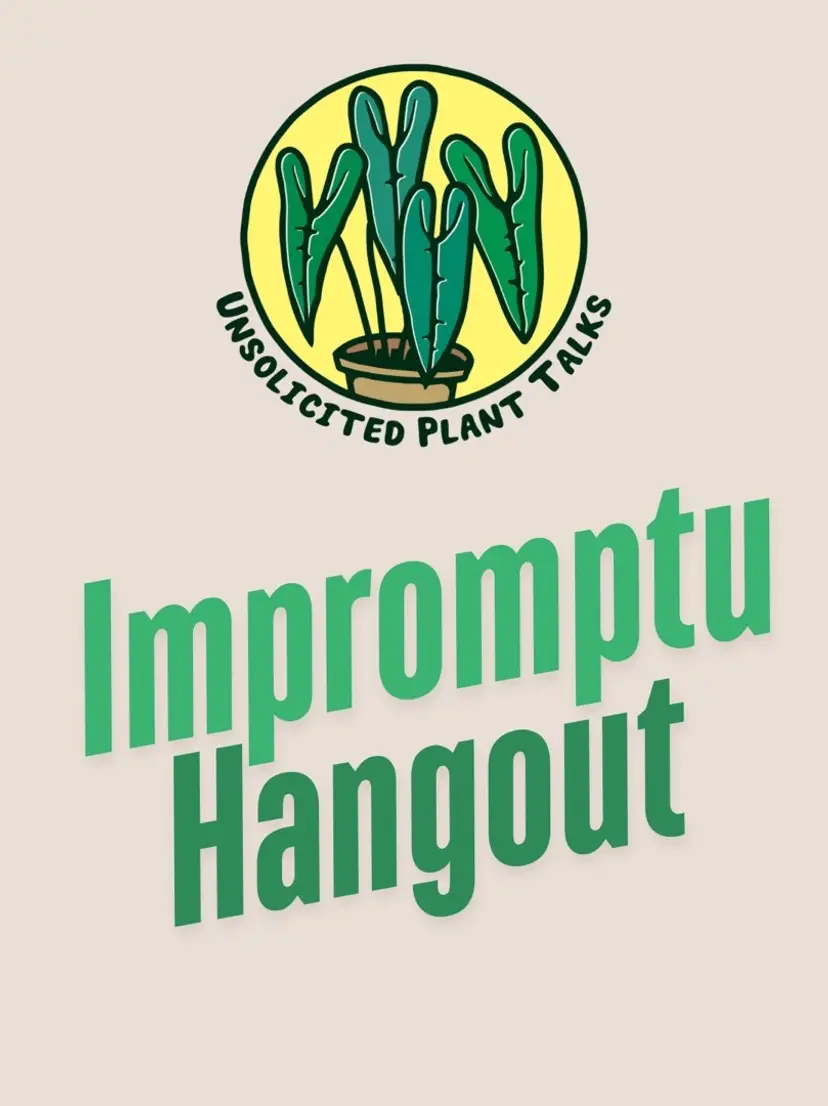 Livestream thumbnail