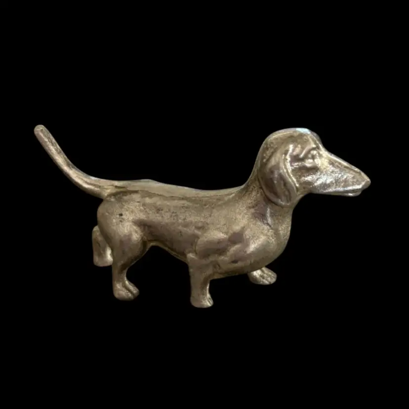 Adorable Dachshund