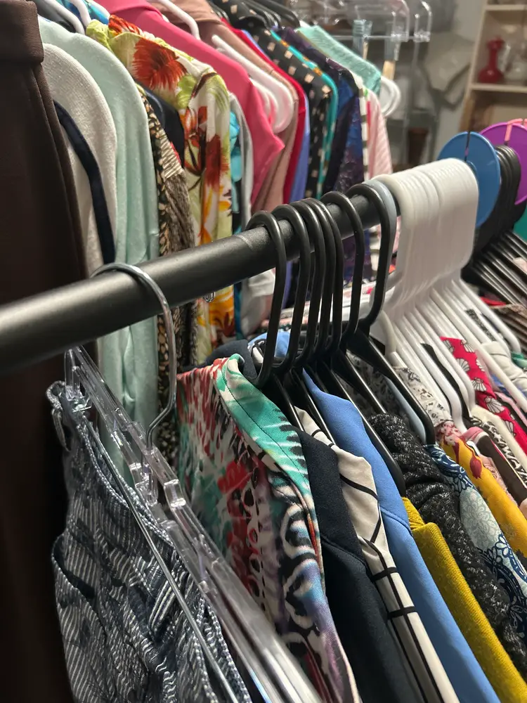 Clothes & Carol? A First Time For Everything! Some Purses Too!