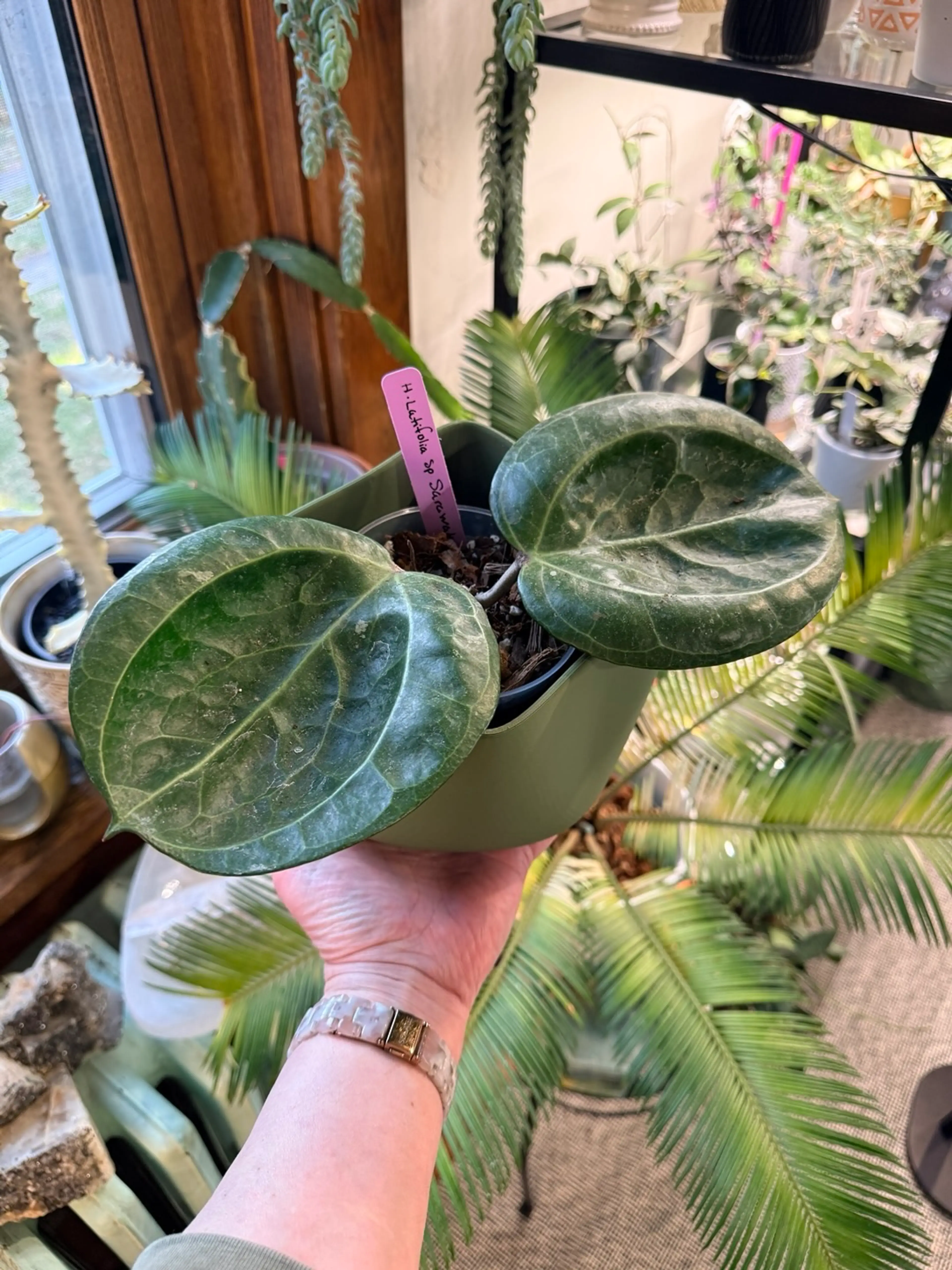 Image 2 of 17