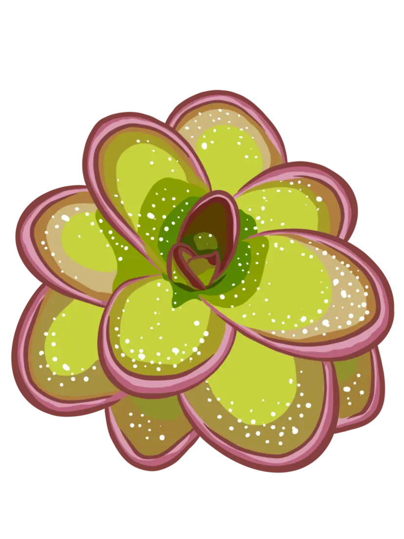 Livestream thumbnail