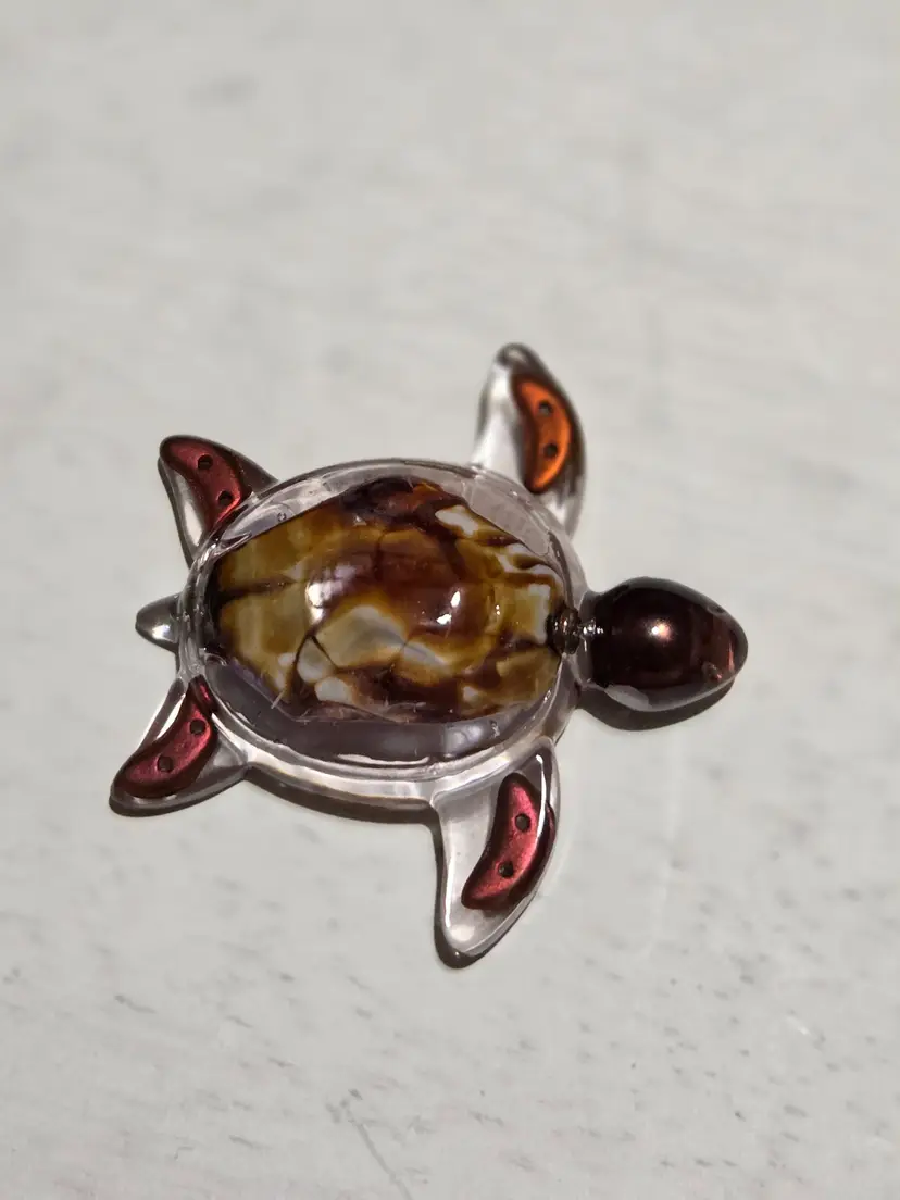 Mocha "Treasure Turtles"