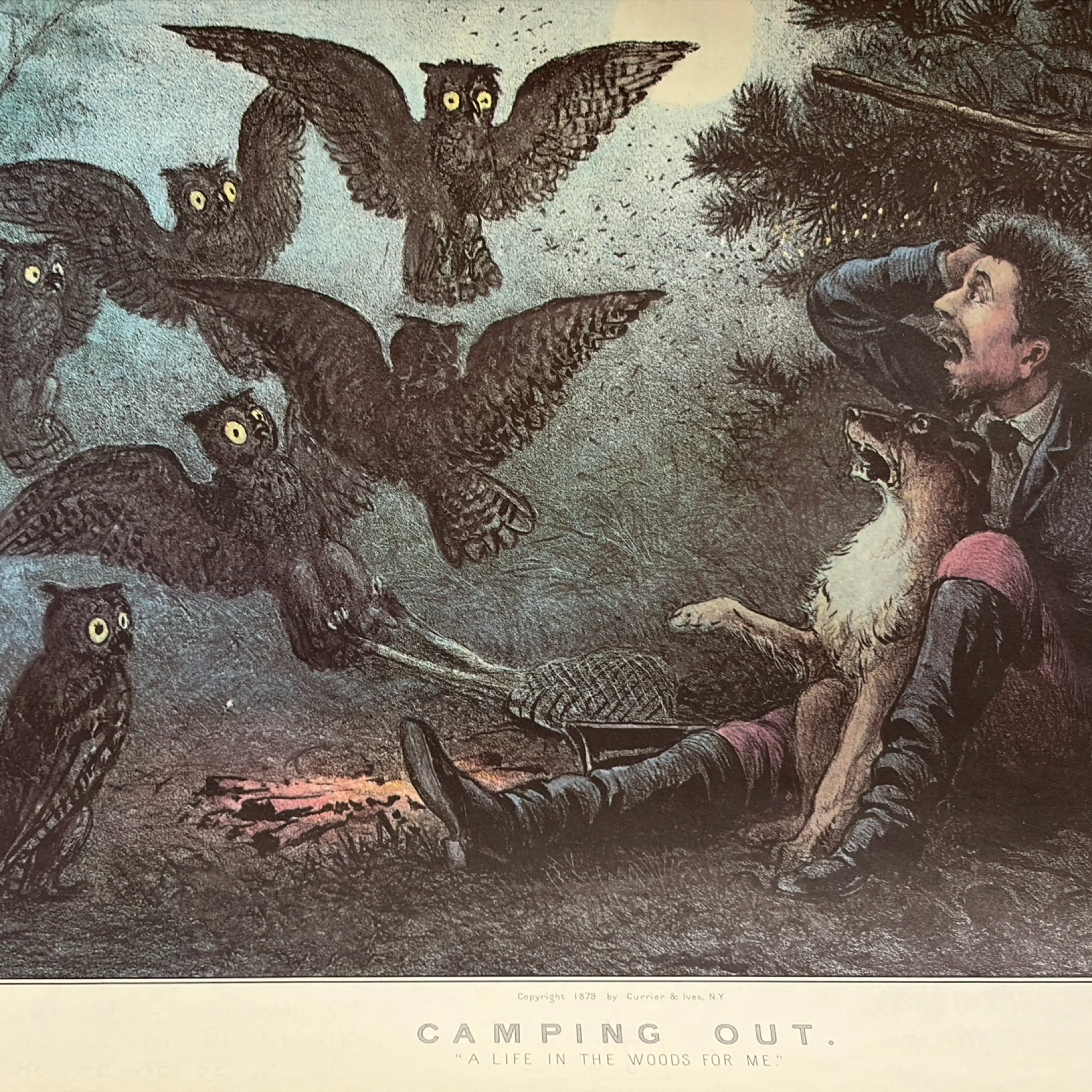 Image 2 of 10