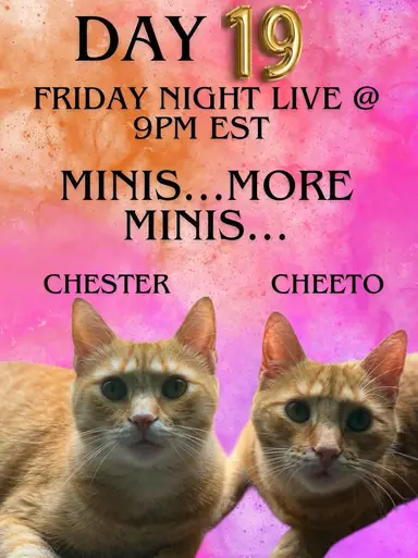 Minis…More Minis W/pickinpete&tracy