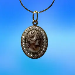 18 Inch Gold Tone, Chain, And Vintage Plastic Cameo